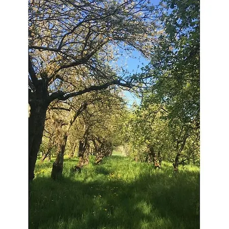 Trostelhof 3 * سالم