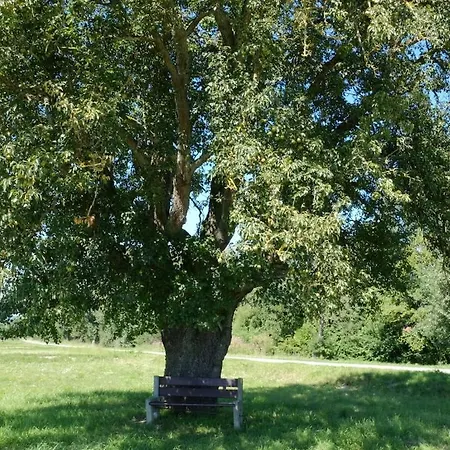 Trostelhof 3 * سالم