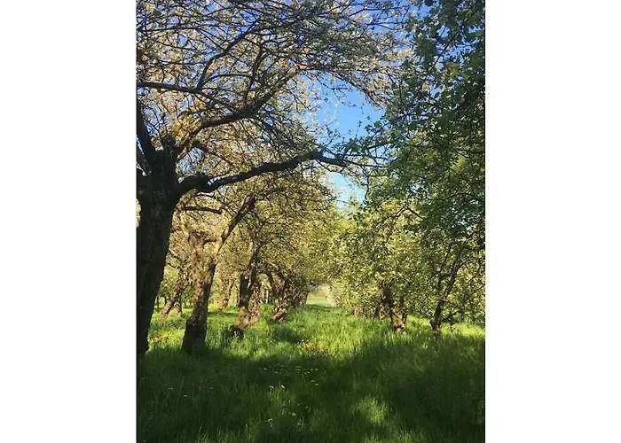 Trostelhof 3 * Salem (Baden-Wurttemberg)